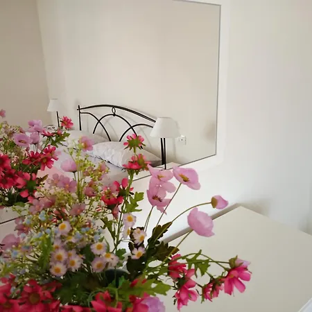 Apartment Domus Anna